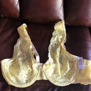 Rue 21 Plus size bra